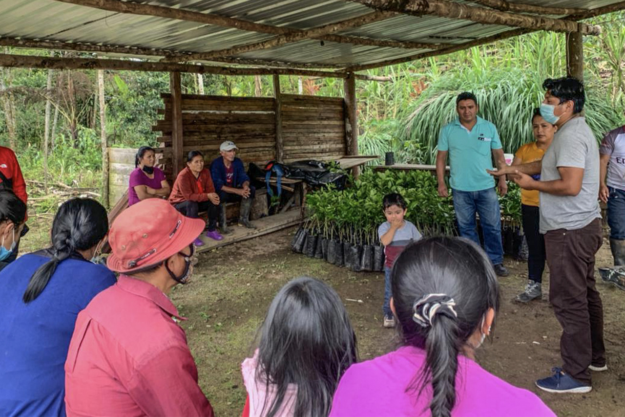 ¡Familias de las  Las Peñas y El Talín recibieron plantas de cítricos!