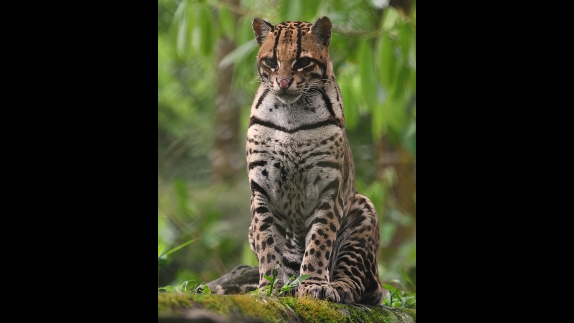 Pastaza lo tiene todo