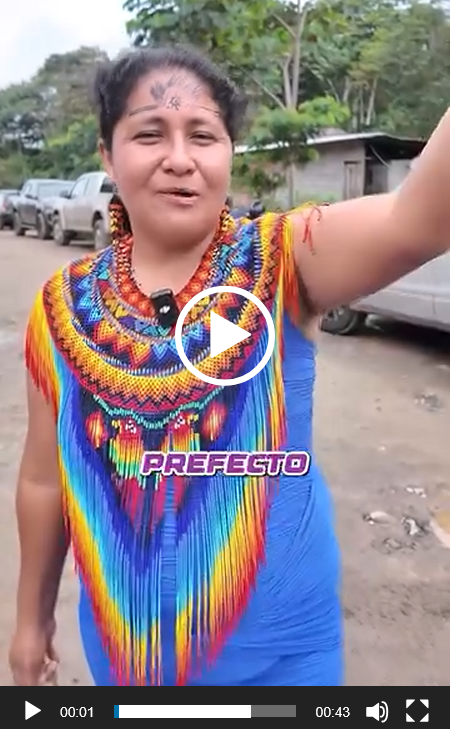 (VIDEO) COMUNIDAD ILIPI