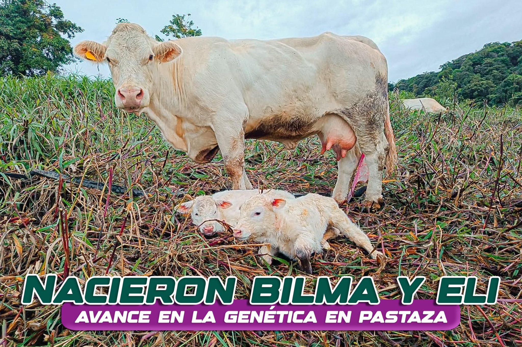 Alegría doble en el sector Selva Alegre